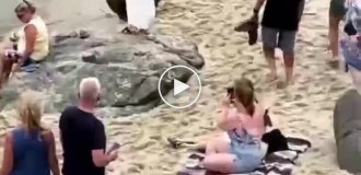 Морские львы выгнали людей с пляжа