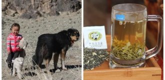 10 фактов из разных областей знаний, которые откроют доступ к тайнам мира (11 фото)