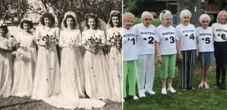 What we haven’t seen: six sisters broke a world record, having lived for a total of 571 years (2 photos + 1 video)
