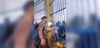 Ужин через границу: Китай и Вьетнам делят еду и традиции