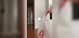 Animals (short videos). Release 97