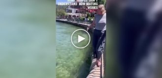 Феминистка вмешалась в поведение дикой природы, чтобы защитить утку