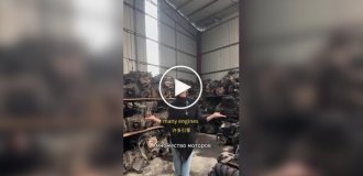 Китайский маркетинг во всей красе: владелица завода исполнила песню ради продажи двигателей