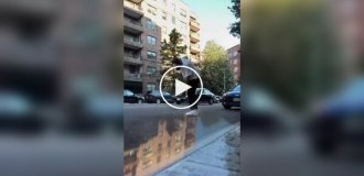 Мужчина притворился наркоманом, чтобы занять парковку для жены