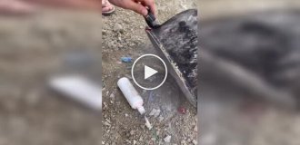 Эксперимент, который вышел из-под контроля