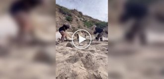 У США жінки знайшли величезний череп на березі