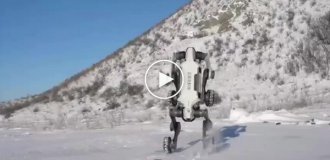The Chinese tested a robotic dog in extreme conditions