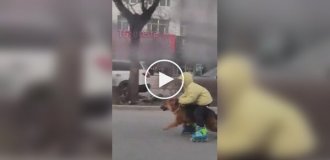 Хлопчик поєднує прогулянку з собакою з катанням на роликах