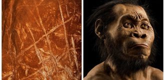 «Звездные люди» ставят под сомнение эволюцию человека (7 фото)