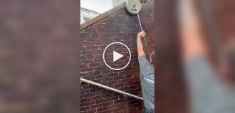 The effectiveness of steam wall cleaning