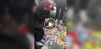 Модель для зйомок одягу для домашніх вихованців