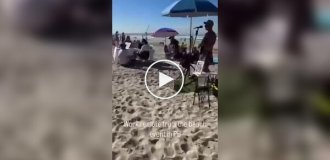 В США удаленщики устроили офис прямо на пляже