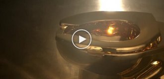 Стокилограммовый золотой унитаз продали на аукционе