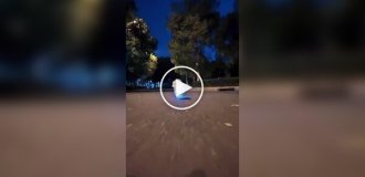 Пес, будто сошедший с постера к «Мстителям»