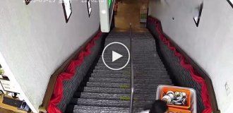 Попытка девушки спустить контейнер с посудой с лестницы