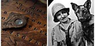Убийство по указке спиритической доски (8 фото)
