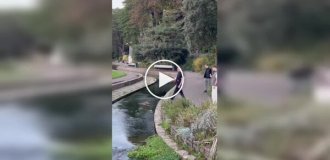 Коли переоцінив свої здібності