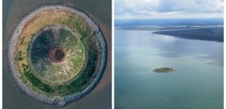 Остров-пончик: провальный проект, который природа спасла и сделала раем для птиц (7 фото + 1 видео)