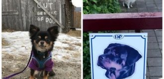 22 Pieces of Kindness and Sweetness Hidden Behind "Vicious Dog" Signs (23 photos)