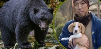 Крихітний бігль врятував ченця від нападу ведмедя під час пробіжки (3 фото + 1 відео)