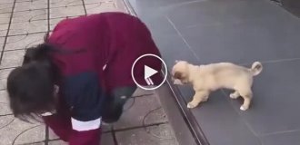 Девочка учит щенка преодолеть страх высоты