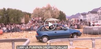 Американец разбил гигантскую тыкву об старую тачку