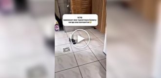 Девушка подарила парню радиоуправляемый Porsche