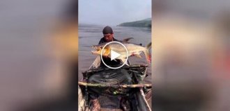 A fisherman demonstrated one of the most dangerous fish in the world