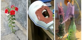 25 small miracles and big oddities of our everyday life (26 photos)