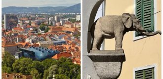 Слон в нише: история о самом первом слоне Граца (11 фото)