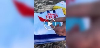 Женщина нашла маленькому раку со сломанной раковиной новый дом