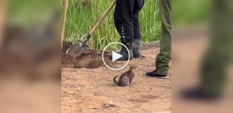 Каждый занят своим делом