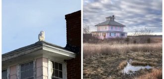 The pink house on Plum Island and its dark history (13 photos + 1 video)