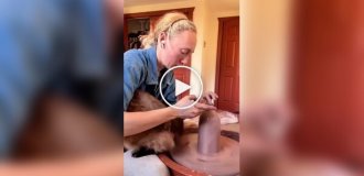 Жизнь с котом полна сюрпризов