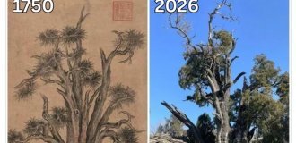 General Cypress in China (1 photo)