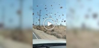 Редкие пылевые вихри Лос-Анджелеса: природа в движении