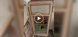 Холодильник с двусторонней дверцей