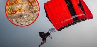 История о том, как парашютистка упала с 4400 метров и выжила