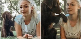 Как быстро они растут: 30 фото с собаками в стиле «тогда и сейчас» (31 фото)