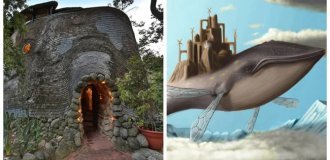 The whale's house is a fascinating and cozy home extravaganza (22 photos + 1 video)