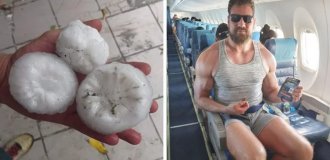 14 вещей и живых существ, которые выделяются своим нестандартно большим размером (15 фото)