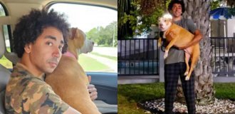 Потерявшаяся собака нашлась за 1600 километров от дома спустя 2 года (2 фото + 1 видео)