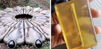 Things people found by accident (21 photos)