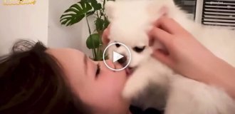 A Korean woman who let a dog lick her face was condemned on social networks