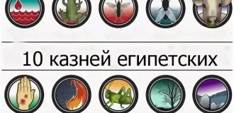 Как ученые объясняют десять казней египетских? (9 фото)