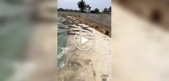 A job for people with nerves of steel