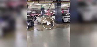 Free car wash.