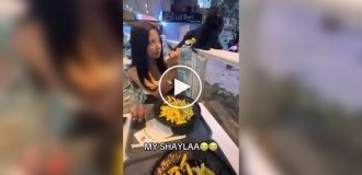 Кошка проучила девушку, дразнившую ее макаронами в ресторане