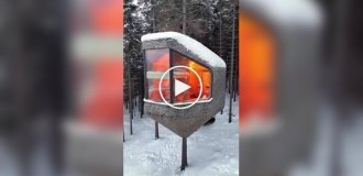 A Norwegian hotel for tree house lovers