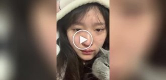 На видео попало доказательство того, что котики незаменимы в быту